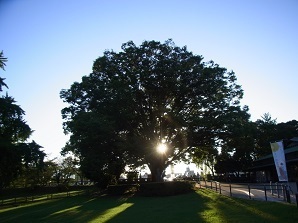 R0019431.JPG