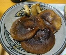 RIMG0592.JPG