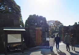 RIMG0760.JPG