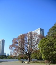 RIMG0769.JPG