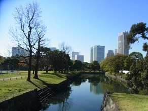 RIMG0770.JPG