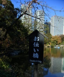 RIMG0795.JPG
