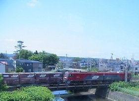 RIMG1365.JPG