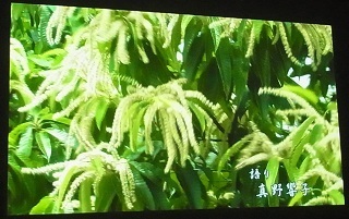 RIMG1373.JPG