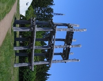 RIMG1384.JPG