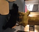 RIMG1586.JPG