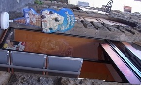 RIMG4517.JPG
