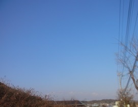 RIMG8899.JPG