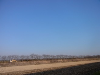 RIMG8904.JPG