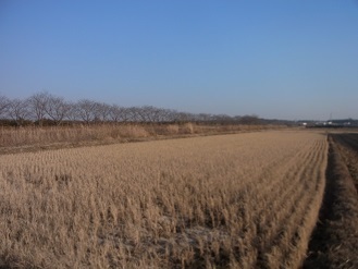 RIMG8905.JPG