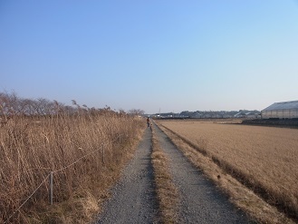 RIMG8907.JPG