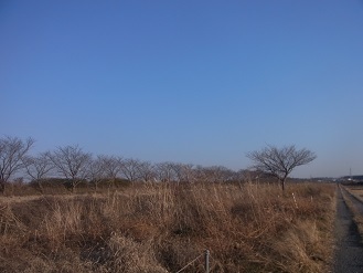 RIMG8909.JPG