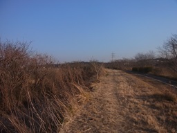 RIMG8922.JPG
