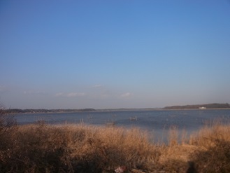 RIMG8923.JPG