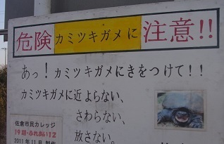 RIMG8927.JPG