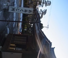 RIMG9213.JPG