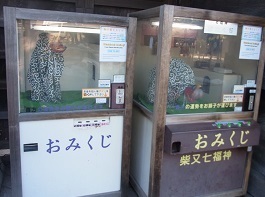 RIMG9218.JPG