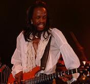 verdinewhite.jpg